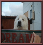 DSCF00241.jpg