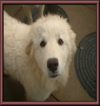 DSCF00341.jpg